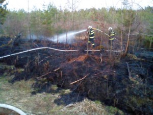 Požár lesa Petříkov 2017