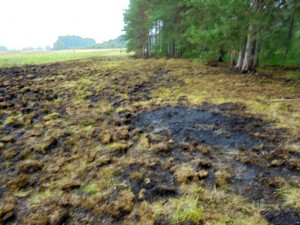 Požár lesa a louky u Stropničky 2017
